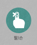 팔/손